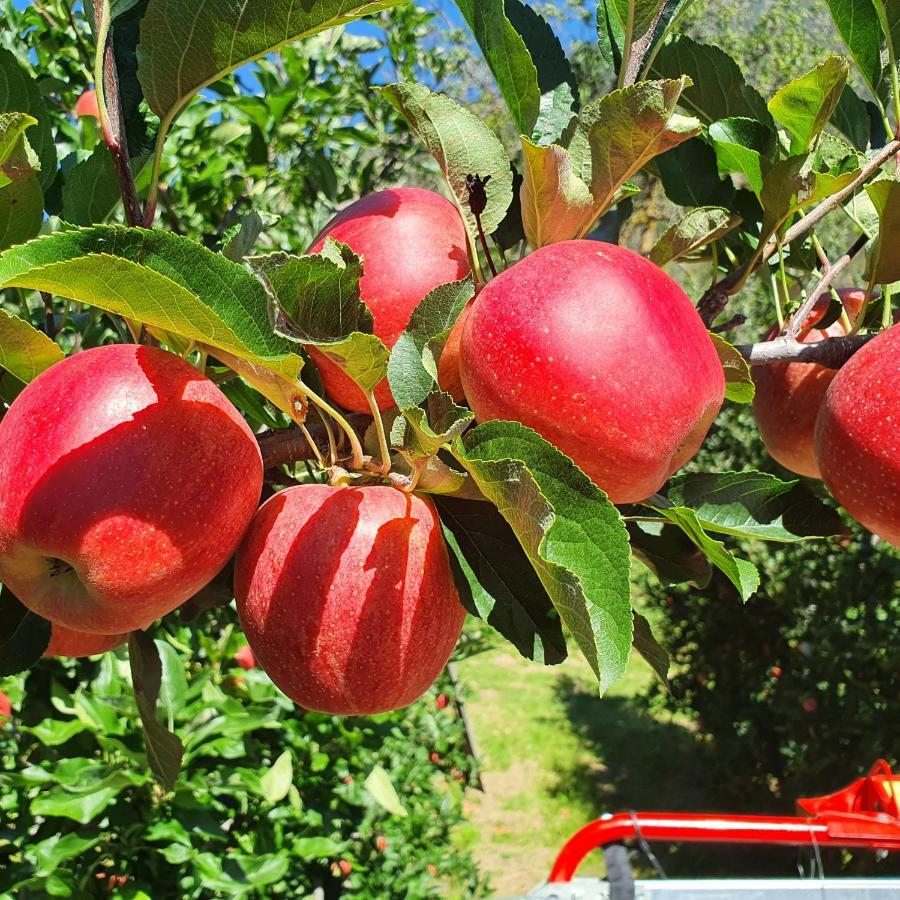Mareinhof Vetzan-Apples,Apartment&More シランドロ エクステリア 写真